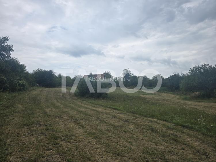 Teren de vanzare 8700 mp cu un front de 30m in Sura Mare - 3