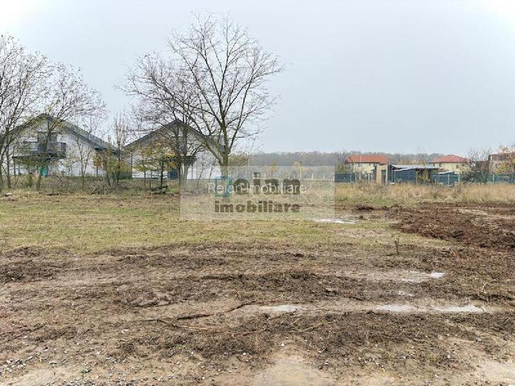 Snagov Ciofliceni - Teren 668 Mp, D 30 M, Gaz, Curent, Asfalt, Padure - 2