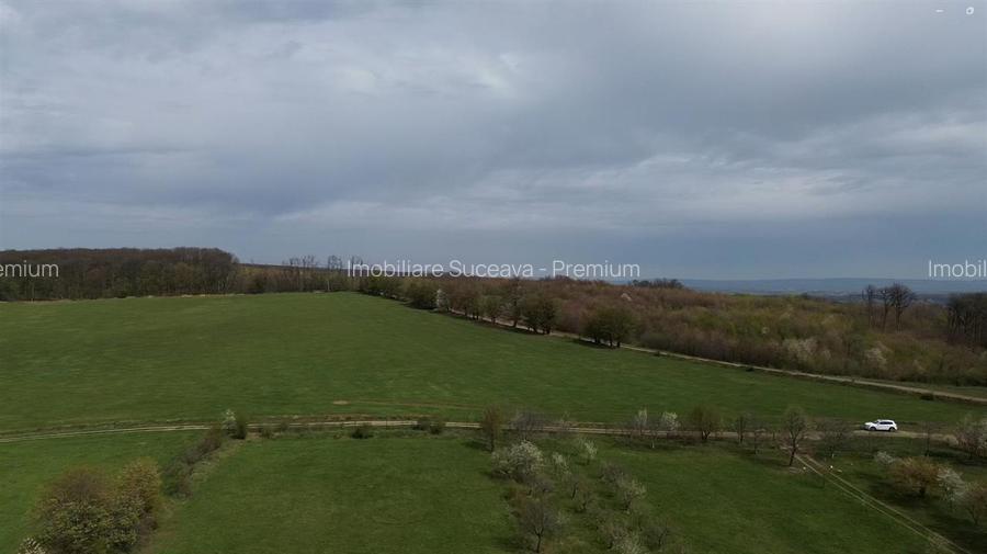 Teren intravilan de vânzare în Mitocu Dragomirnei | 5.800 mp | 43 m de - 14