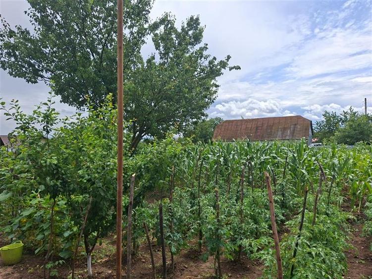 Teren intravilan 1000mp, zona Magura Sohodol