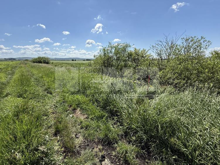 Teren extravilan de vânzare | Rădăuți | 4.000 mp - 3