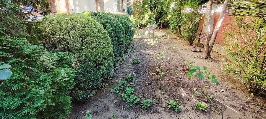 Apartament rustic, deosebit de 98 mp,  cu gradina, in Andrei Muresanu