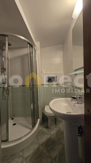 Casă de închiriat – 5 camere | garaj dublu, curte, saună | Buna Ziua