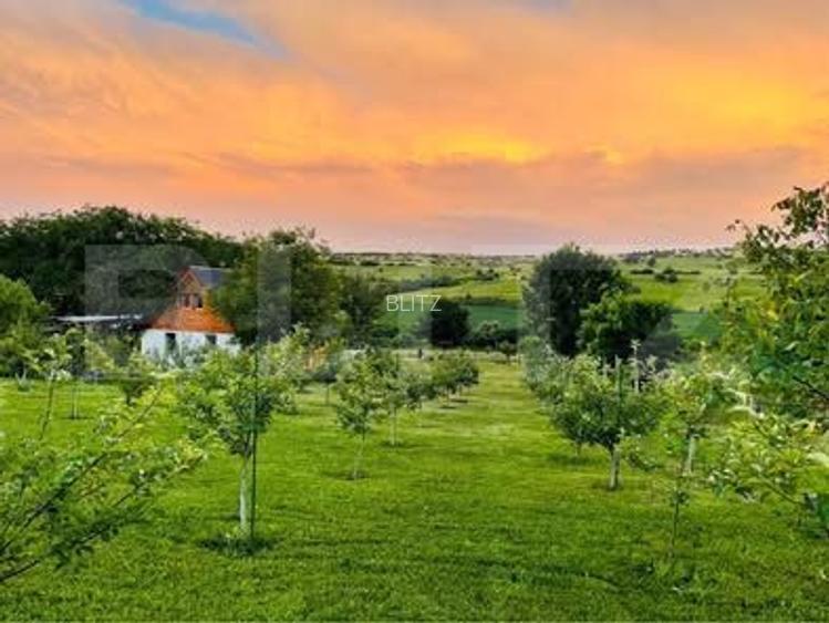 Cabană cu livadă și panoramă superbă – Refugiu în natură, Blaj - 9