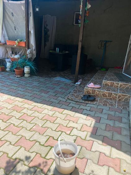 Casa 5 camere - Murfatlar - 60.000 euro (cod E2+E7)