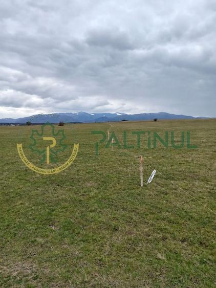 Teren de vanzare, 4.000 MP, Șelimbar, Zona Ion Art, investitie