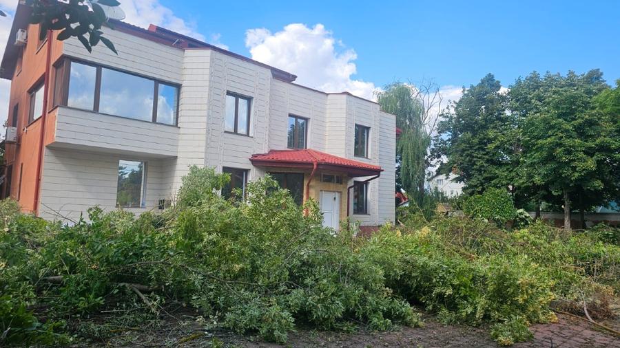 PROPRIETAR - TEREN STRADAL 25000 MP, PIPERA, DRUMUL NEGRU, VILĂ 1OOO MP UTILI