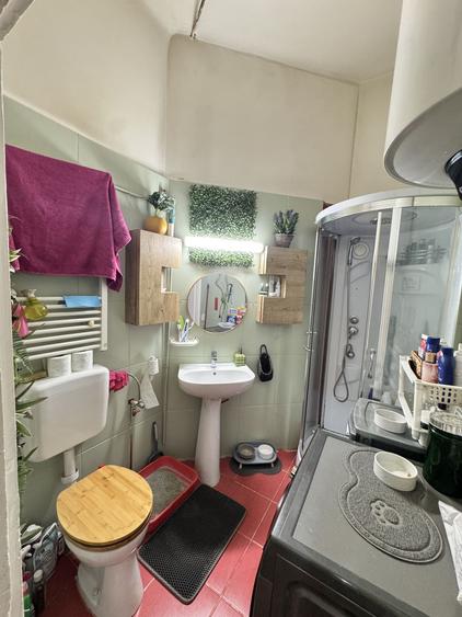 Casa Ultracentrala în Oradea, pe malul Crișului Repede