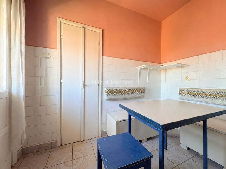 4 camere, suprafata generoasa, vedere panoramica spre raul Timis - 14