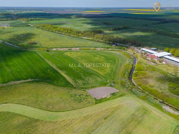 Teren Extravilan localitatea Turnu - 6