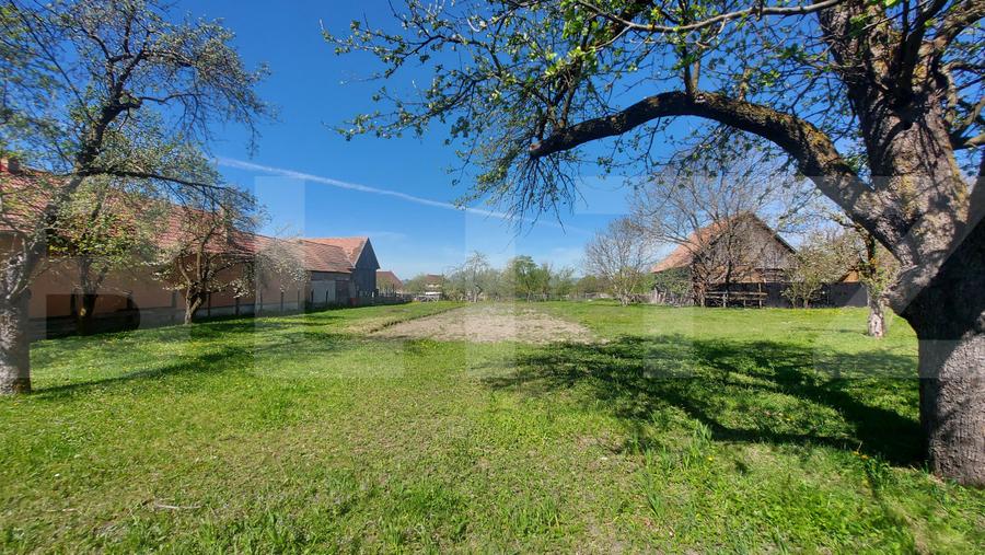 Teren intravilan 2200 mp in Bicfalau I 30 m front stradal I Utilitati