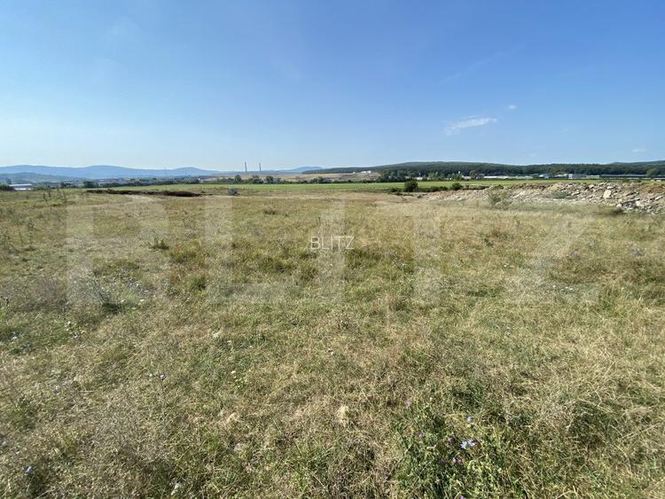 Teren extravilan Criseni, 3800 mp - 5