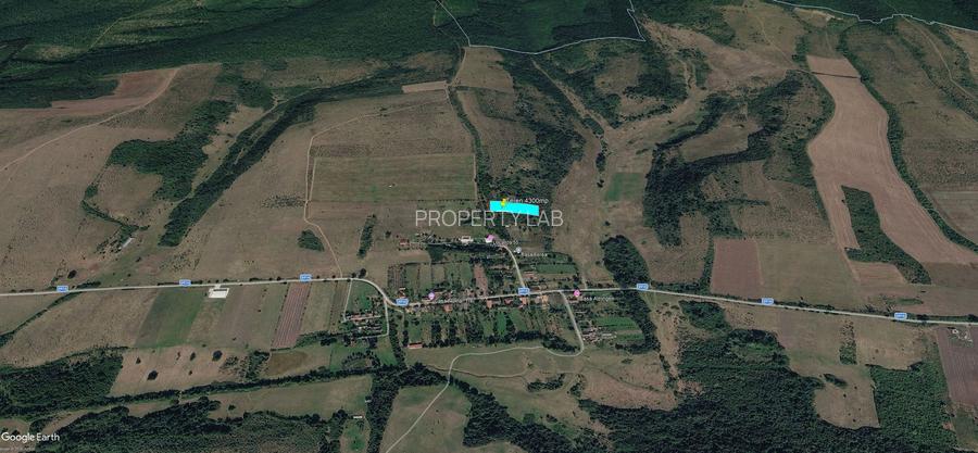 Teren extravilan 4300mp în Bogda, județul Timiș - 2