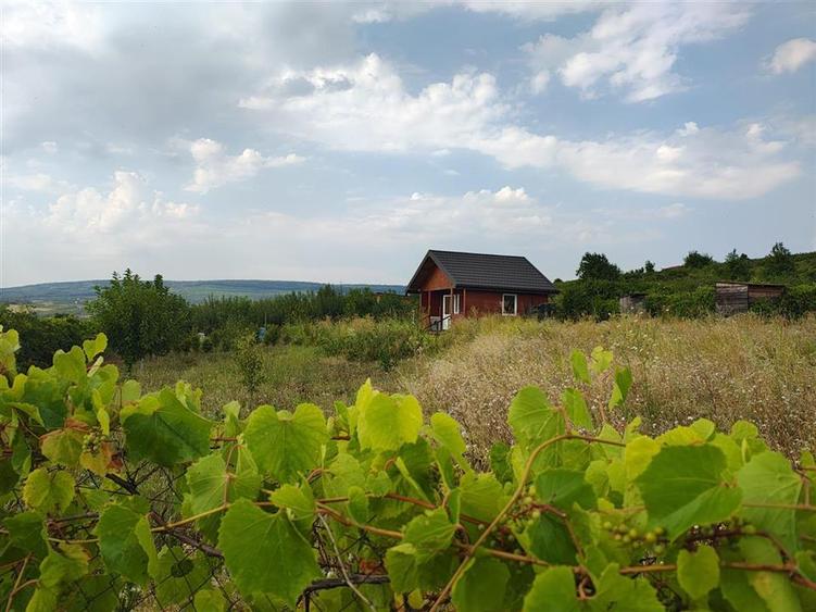Intravilan - Tomesti - Teren si Cabana din Lemn