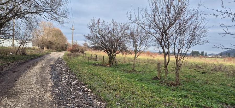 Teren intravilan Cristian zona Avicola