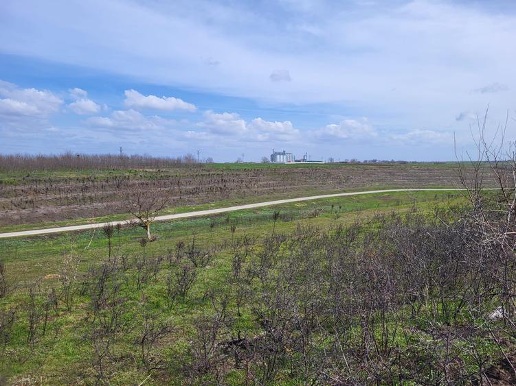 VANZARE TEREN PRUNDU INTRAVILAN AGRICOL GIURGIU POTENTIAL