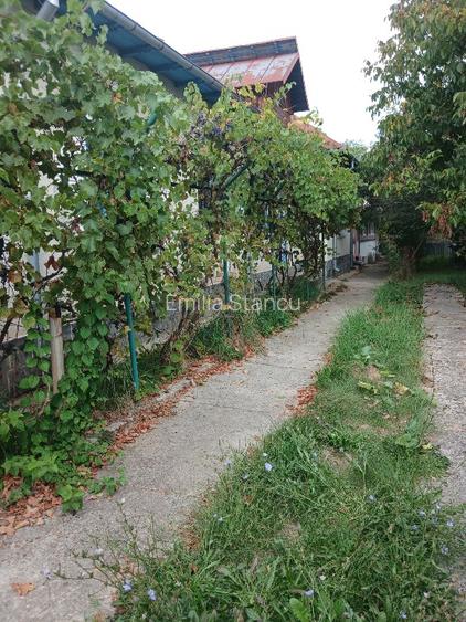 Gospodărie de vânzare  - 3