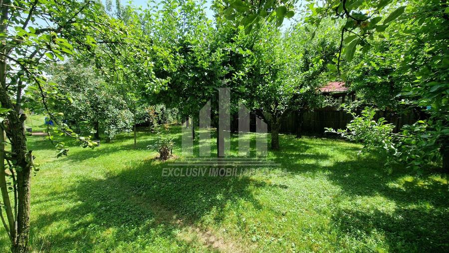 Teren intravilan | 1400 mp | 16 ml deschidere | Alba-Micesti