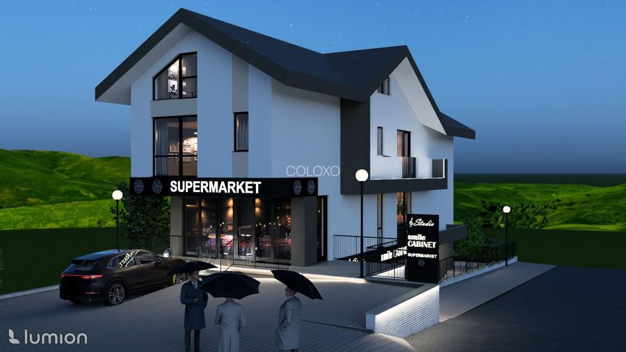 Spatiu Comercial 83 Mp | Gradina 125 Mp | Zona Pepinierii - 3