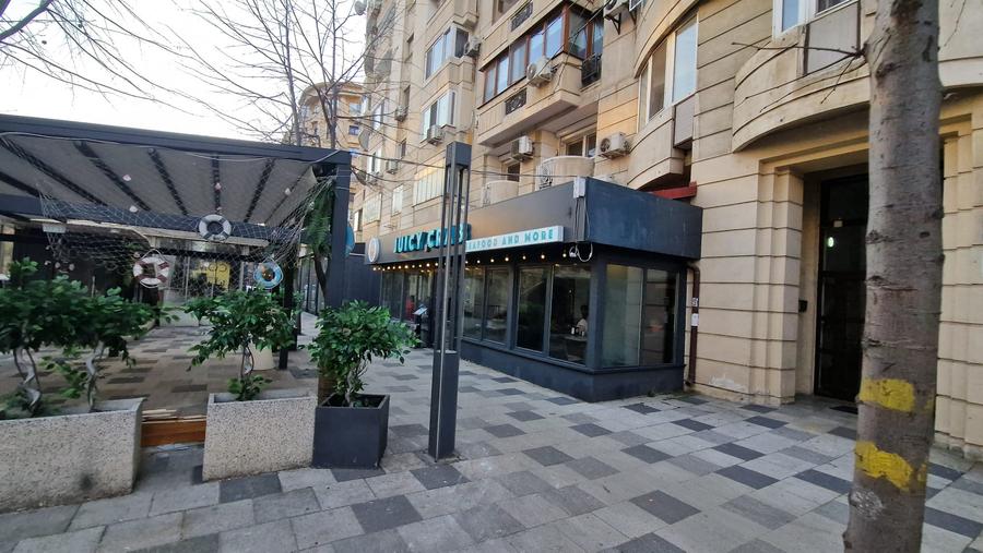 DECEBAL-- Alba Iulia 230 mp -PRET 5.000 EURO