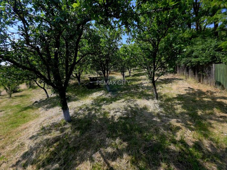 Teren intravilan 4,516mp Doina - 19