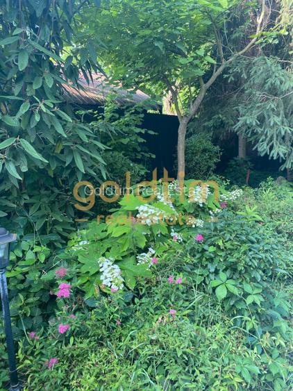 CASUTA DIN POVESTI/CURTE 1100MP/GRADINA MAGICA/SAUNA/PISCINA/SNAGOV - 39