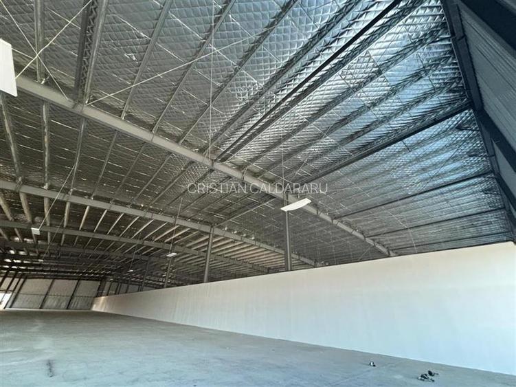 Inchiriere depozit/hala/spatiu industrial/showroom Afumati - DN2 - Dorally, Ilfo - 9