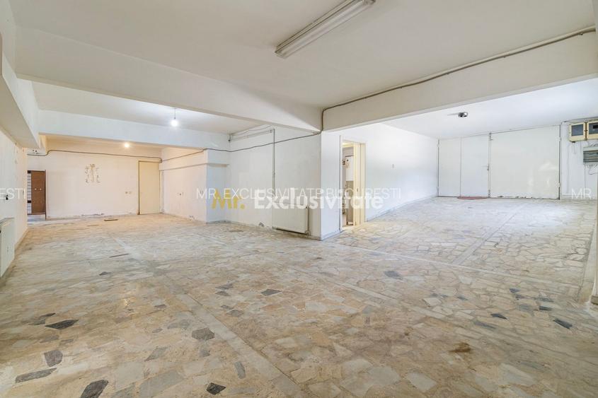 Domeniu privat 5.000 mp, cu reședință de 625 mp și piscină, Corbeanca - 21