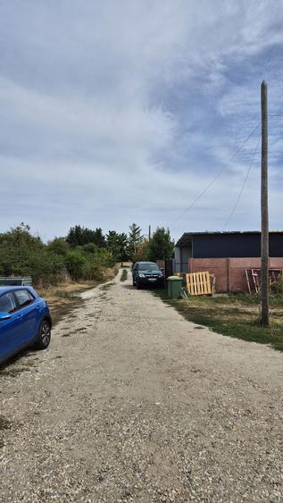 Teren intravilan 1000 mp - Domnesti