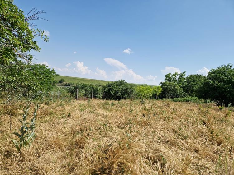 Teren cu deschidere catre lac - 40 km de Bucuresti