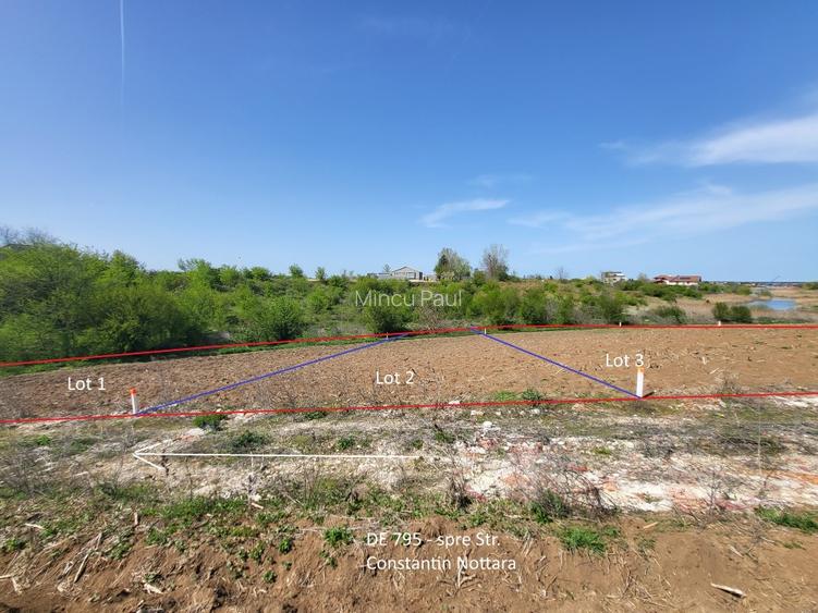 Intravilan vedere la lacul Snagov zona de vile noi - 8