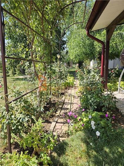 Casa tip parter + beci si teren in Candesti, Vernesti - 25