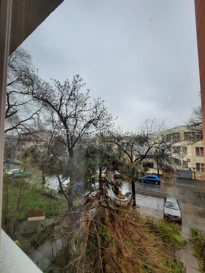 Lacul Tei,Teiul Doamnei,stradal vav Parcul Tei - 19