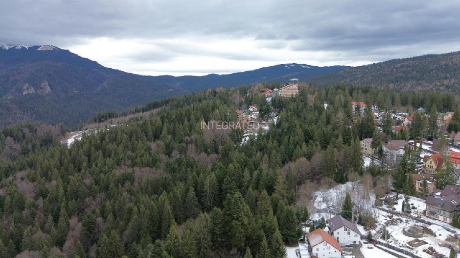 Teren intravilan 3.500 mp Cioplea ~ Predeal - 4