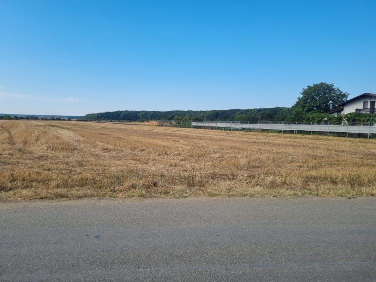 Snagov Gruiu intravilan