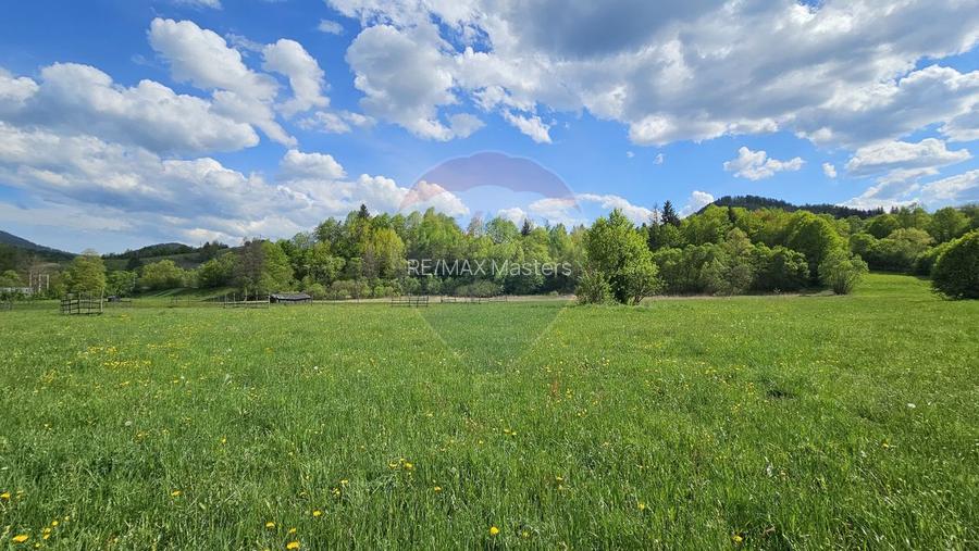 Teren intravilan 9,010mp Campulung Moldovenesc / Calea Bucovinei, SV - 7