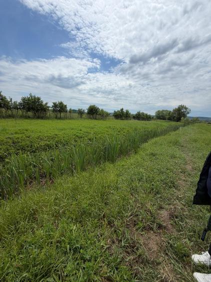 Teren de 6000 mp, vizavi de gara din Filiasi