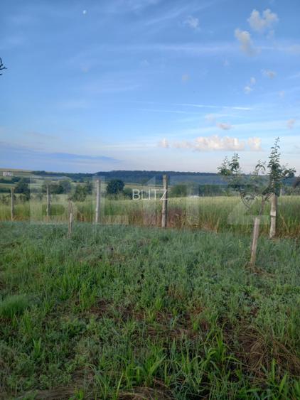 Teren intravilan, 4447 mp, 28 ml deschidere, Pielesti - 3
