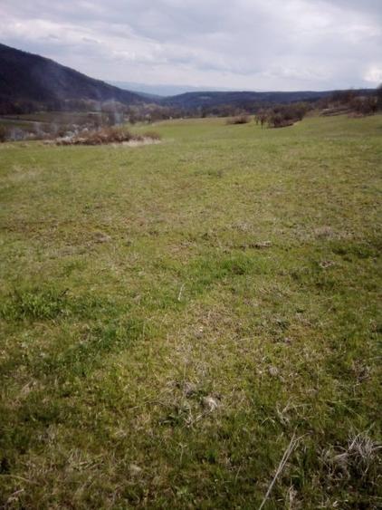 Teren superb in zona Geoagiu, Hunedoara