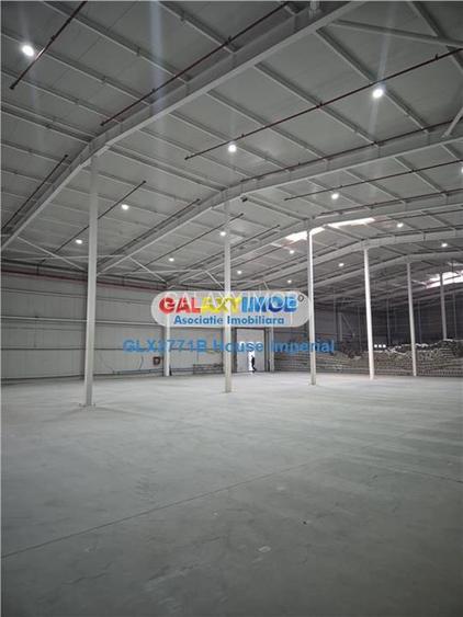 Hala   showroom,zona linia de centura Voluntari,Negociabil - 3