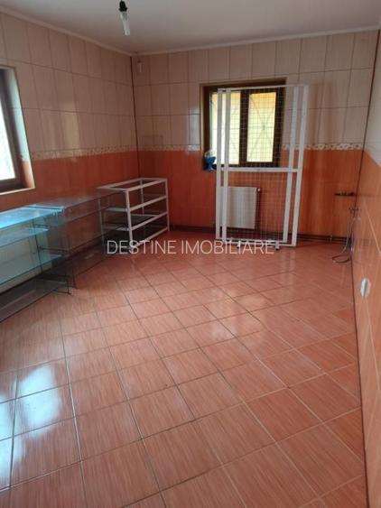 Spatiu comercial Baicoi - 6