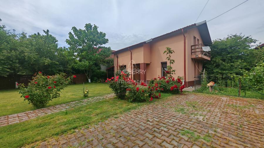 Casa de vanzare Adunatii Copaceni - pret imbatabil - 21