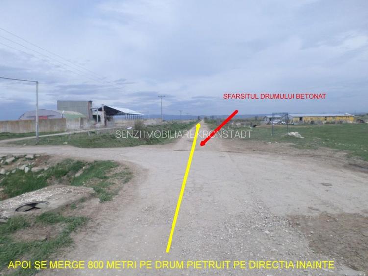Teren ideal ferma, pt dezvoltare agricola, proiect fotovoltaice - 3