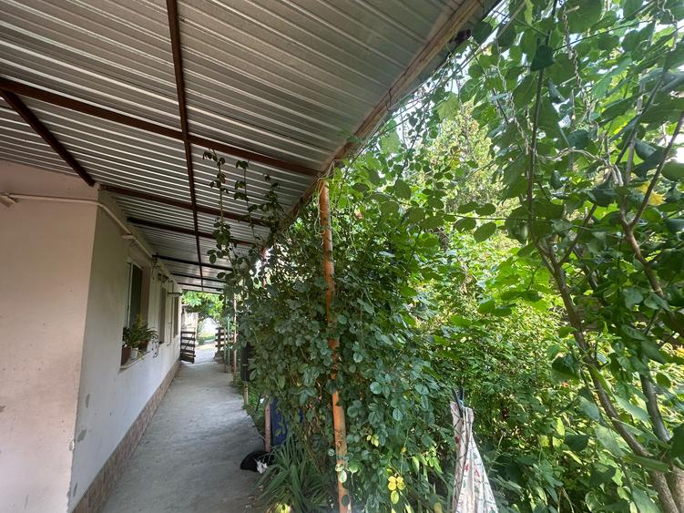 Casa si teren zona teatrul Maior Gheorghe Pastia, Focsani, jud. Vrancea.