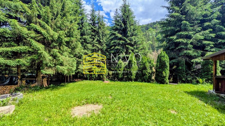 Cabană – Mureș – Sălard – Zona Pensiunea Denisa - 17
