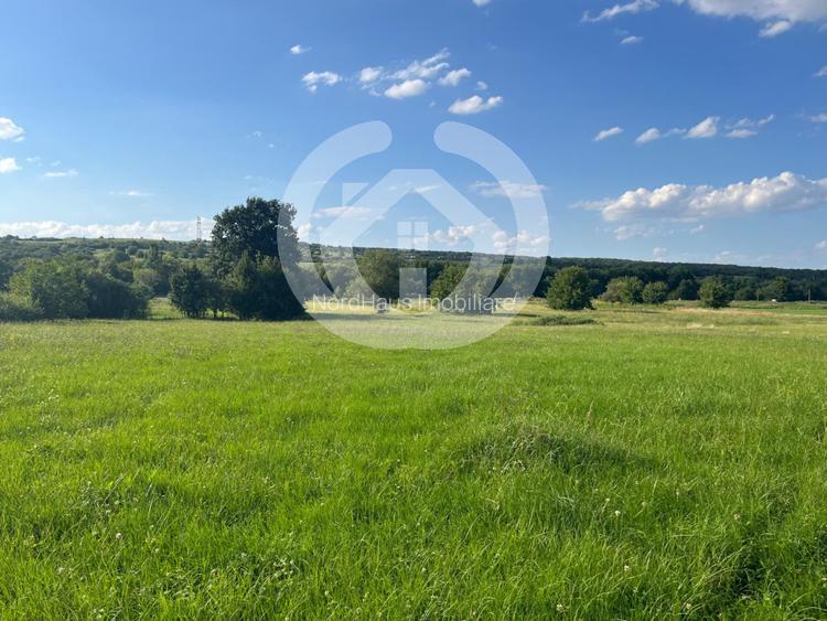 Teren intravilan constructii 6668 mp - Rasinari, Sibiu - 6