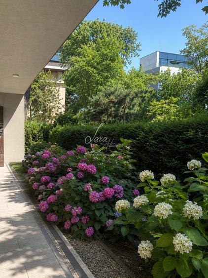 Primaverii- apartament exclusivist cu gradina privata