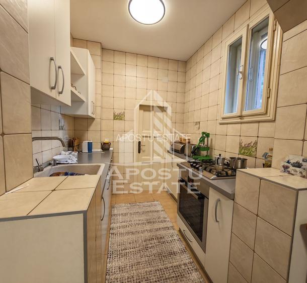 Casa individuala de vanzare cu 11 camere, an 2000, Lipovei, Timisoara - 43