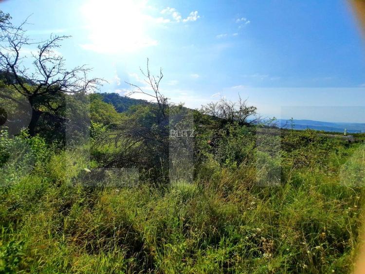 Teren cu panorama deosebita, suprafata de 3300mp, zona Wonderland