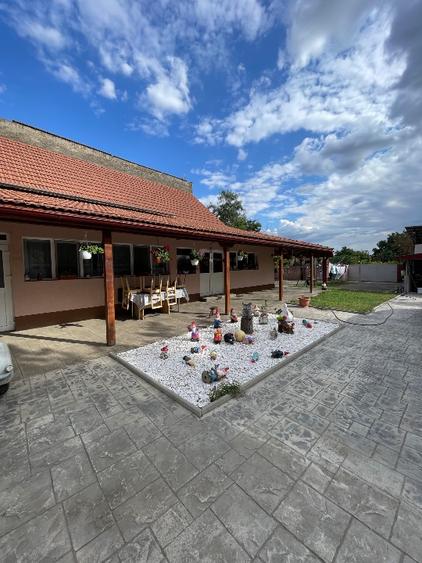 🏡 Casă de vânzare în Iecea Mare, județul Timiș